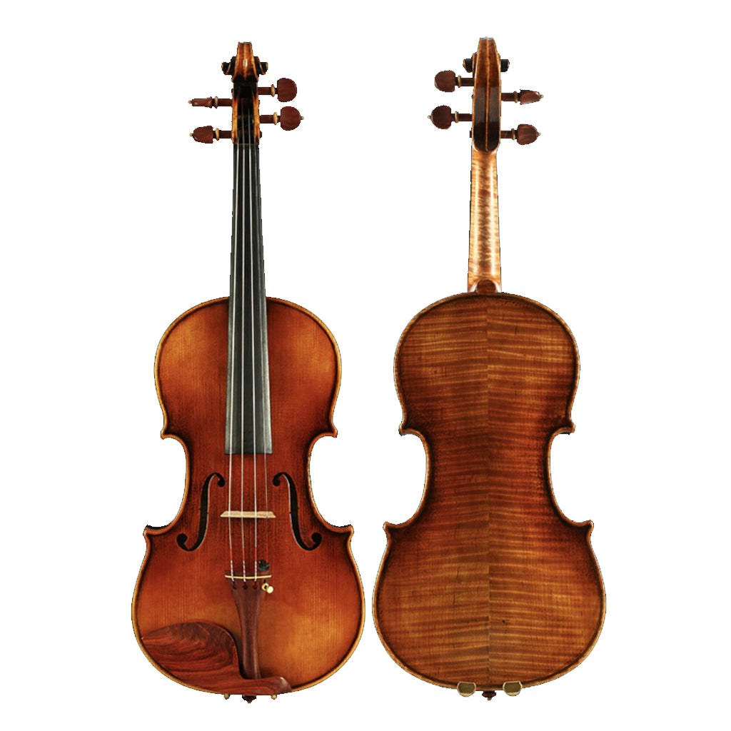NAOMI Advanced Antique Oil Handmade Violin European Wood Top & Back Rich Sound Free IPE Bow Bridge Case