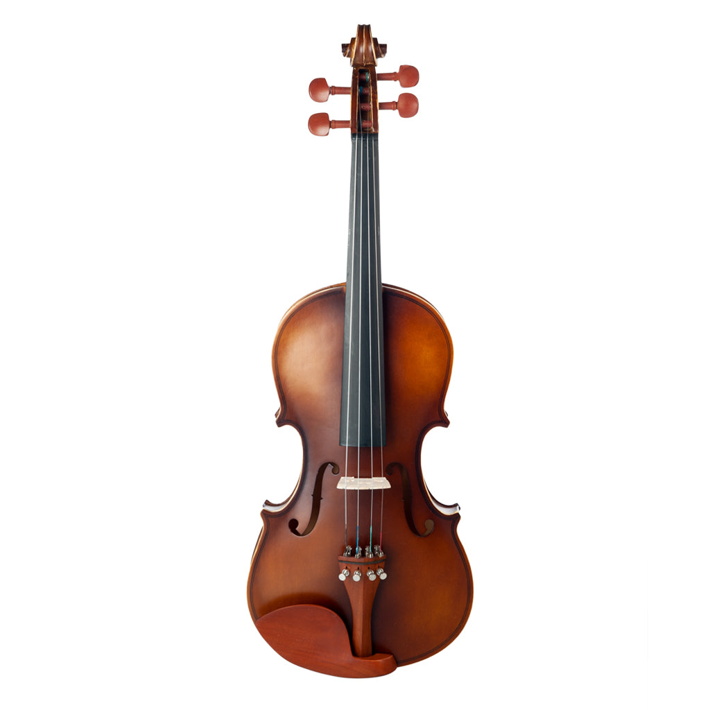NAOMI Acoustic Violin 4/4 Full Size  Fiddle W/ Bow Case Bridge Jujube Wood Accessories