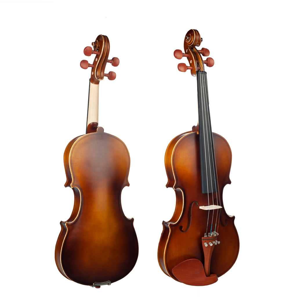 NAOMI Acoustic Violin 4/4 Full Size  Fiddle W/ Bow Case Bridge Jujube Wood Accessories