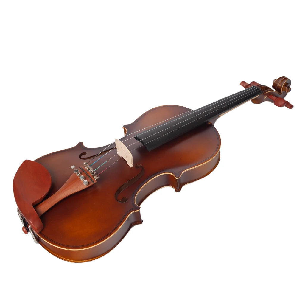NAOMI Acoustic Violin 4/4 Full Size  Fiddle W/ Bow Case Bridge Jujube Wood Accessories
