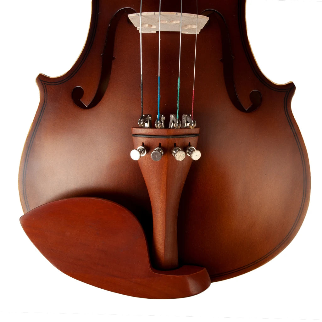 NAOMI Acoustic Violin 4/4 Full Size  Fiddle W/ Bow Case Bridge Jujube Wood Accessories