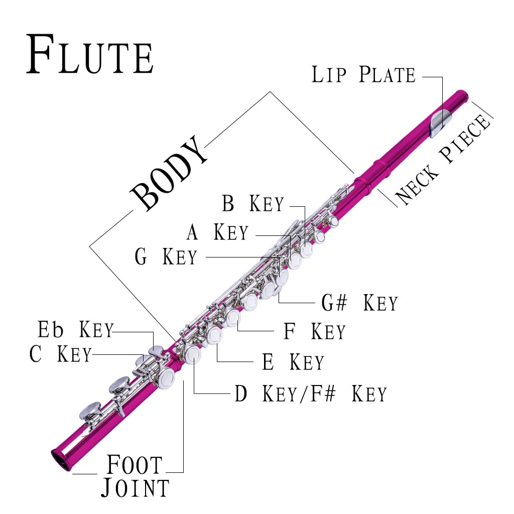 NAOMI 16 Holes Cupronickel Flute C Set w/ Lightweight Waterproof Carrying Bag+Adjustable Shoulder Strap+Gloves+Joint Grease+Tuning Rod