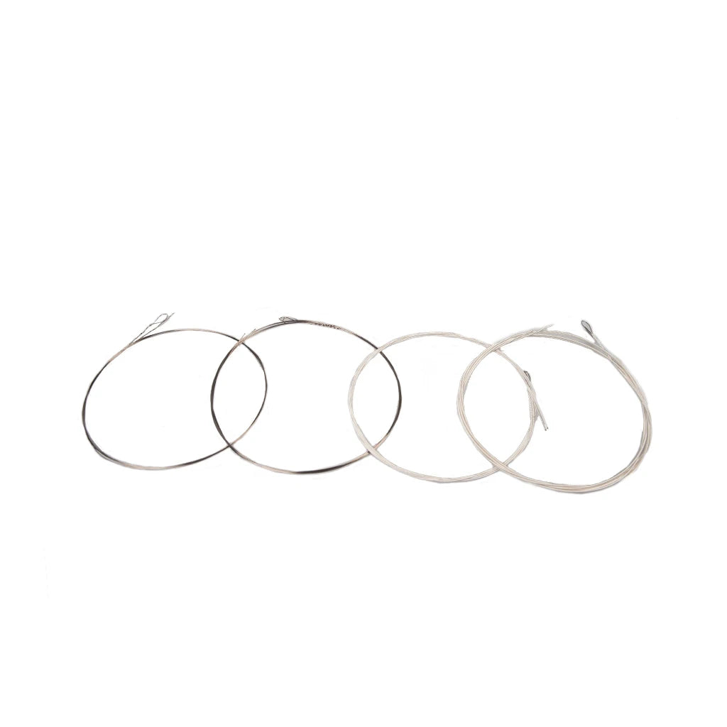 Two Inch Metal String NAOMI 5Packs AM03 Mandolin Strings .010-.034 Inch Tension Silver-Plat