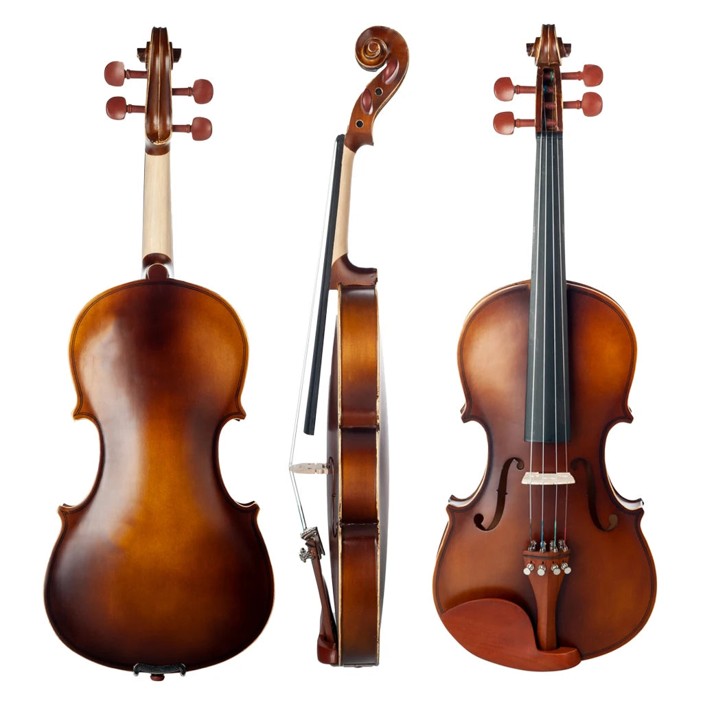 NAOMI Acoustic Violin 4/4 Full Size  Fiddle W/ Bow Case Bridge Jujube Wood Accessories