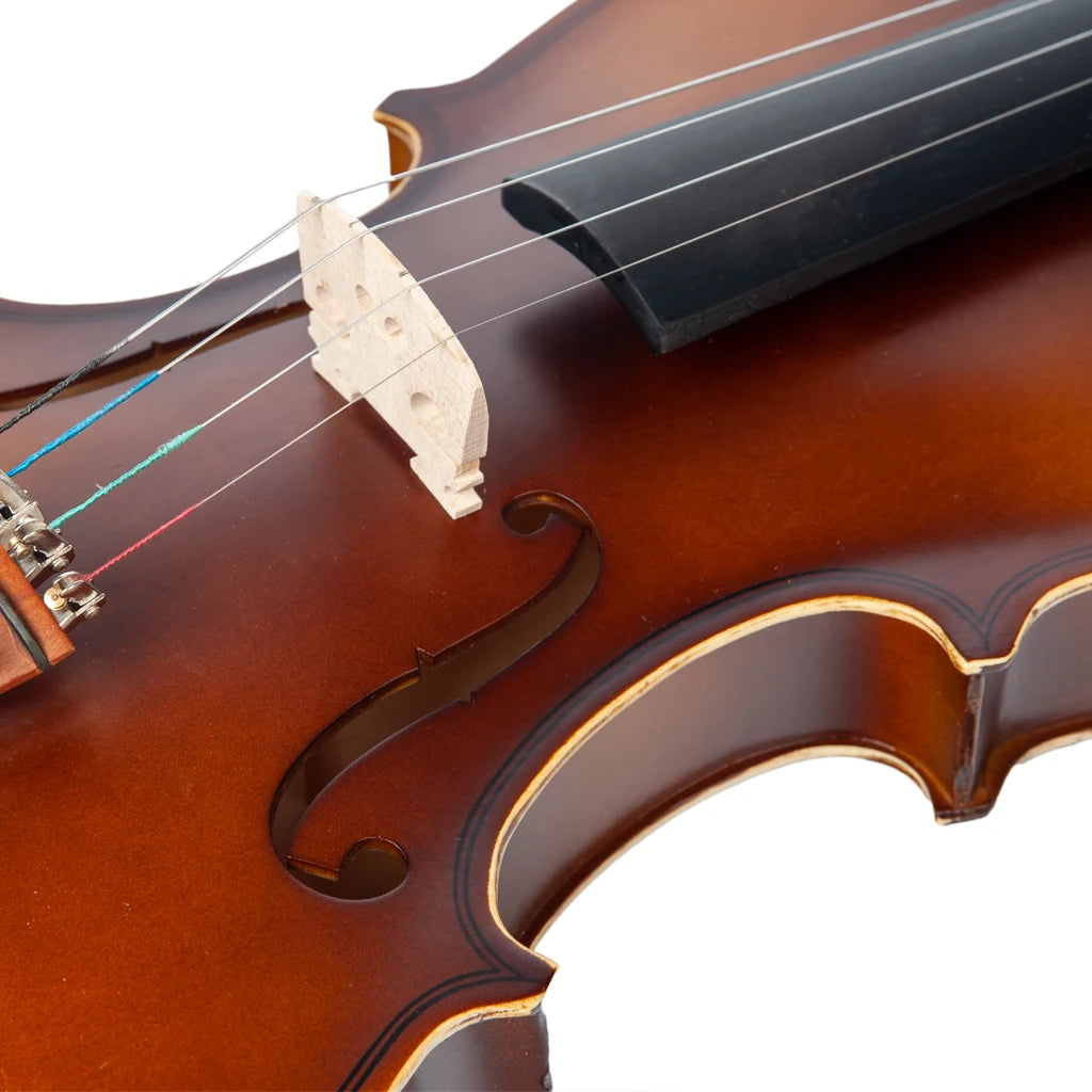 NAOMI Acoustic Violin 4/4 Full Size  Fiddle W/ Bow Case Bridge Jujube Wood Accessories