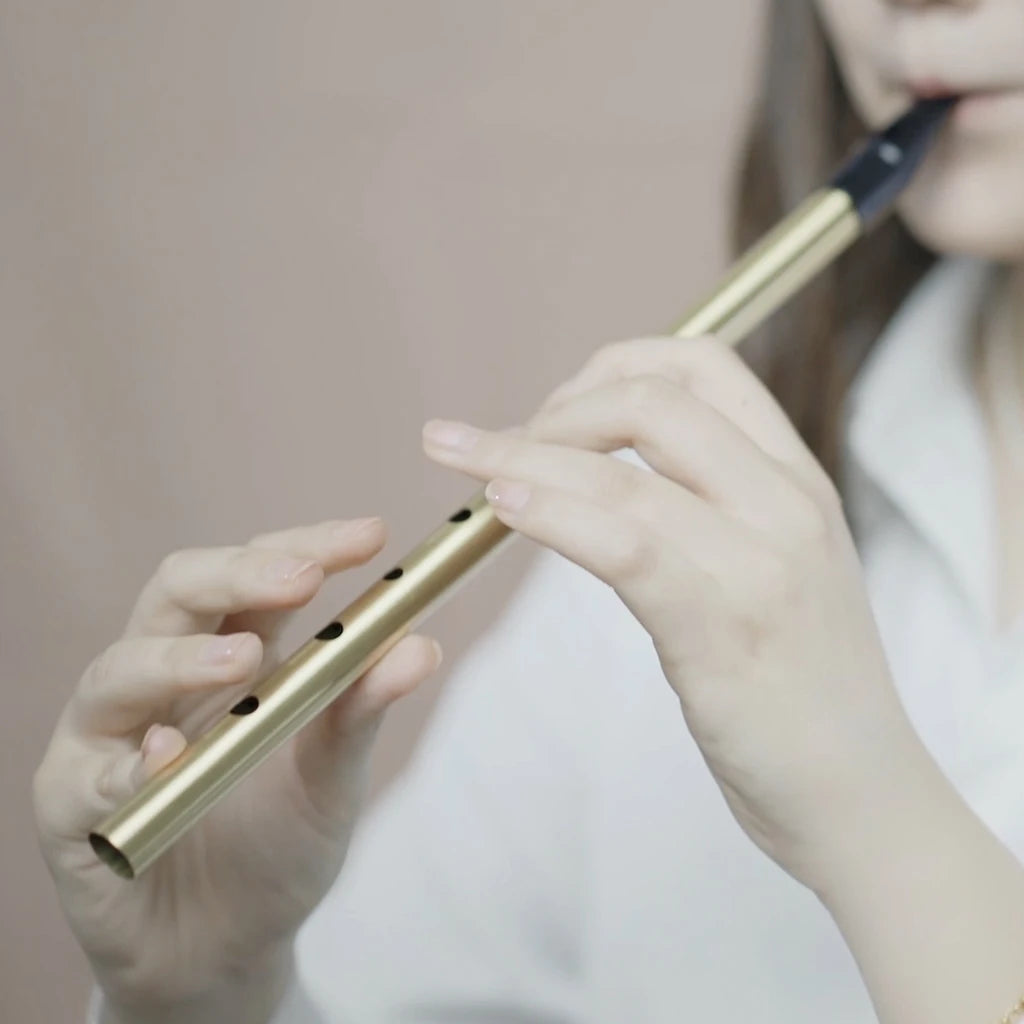 NAOMI  Brass Irish Whistle Flute C/D key Ireland Flute Tin Penny Whistle 6 Hole Musical Instrument